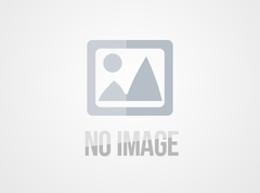 Embrace Eco-Elegance: Introducing Our Artisanal Beeswax-Coated Butter Wraps & Products